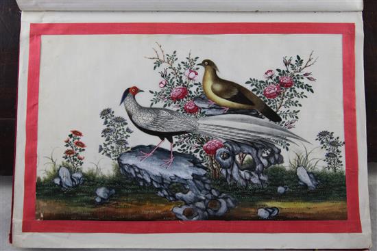 An album of twelve Chinese pith paintings, by Samshing, second quarter 19th century, 36.5 x 25.5cm